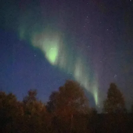 Brygghaugen, Midt Pa * Senja